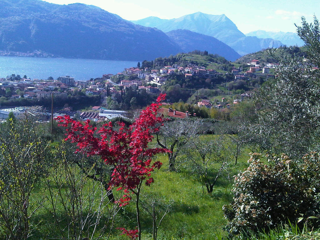 Agriturismo Crotto Di Somana Mandello del Lario Kültér fotó
